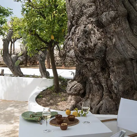 Masseria Il Melograno 5*